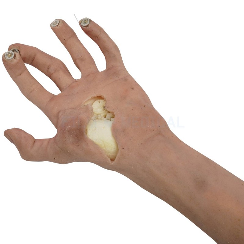  Realistic Silicone Special effects Arm With Handle 